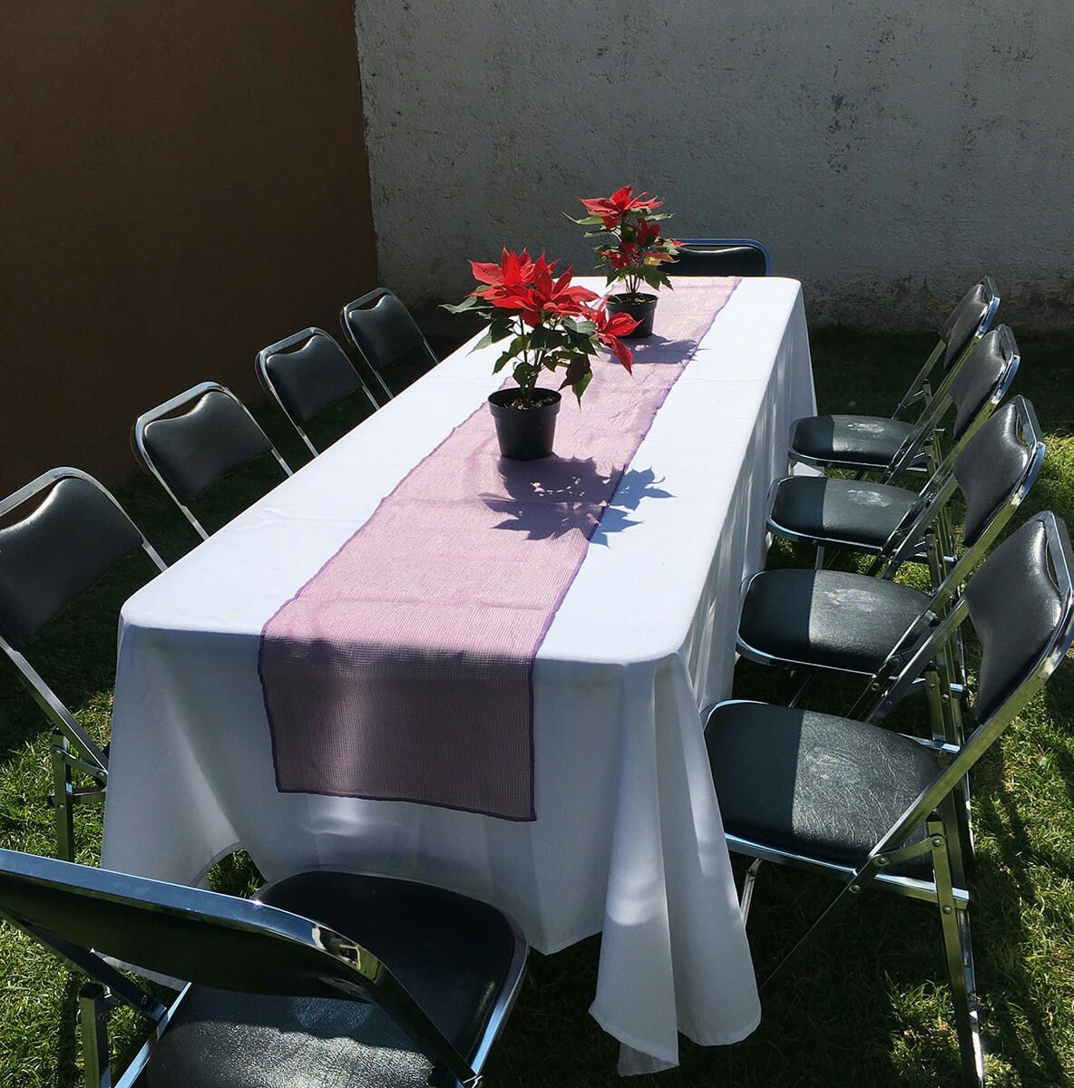 Otros Mesa Tablón con Sillas Acojinadas